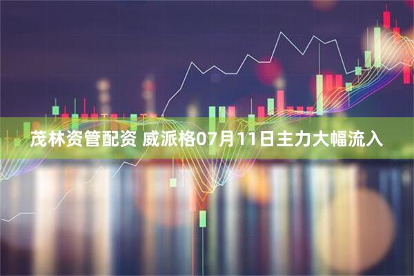 茂林资管配资 威派格07月11日主力大幅流入