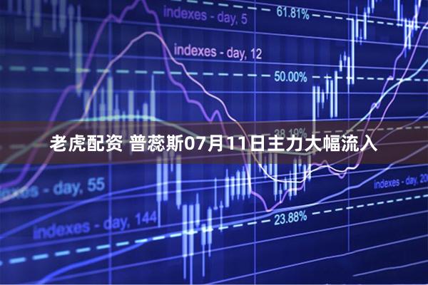 老虎配资 普蕊斯07月11日主力大幅流入