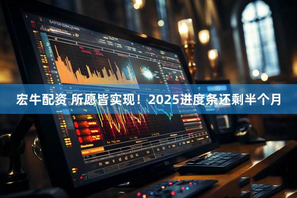 宏牛配资 所愿皆实现！2025进度条还剩半个月