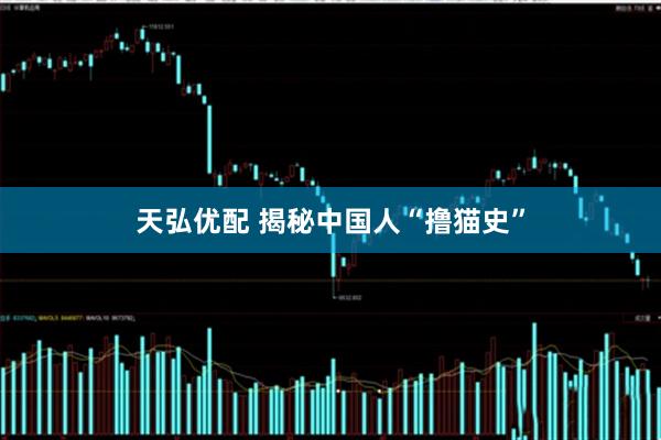 天弘优配 揭秘中国人“撸猫史”