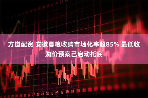 方道配资 安徽夏粮收购市场化率超85% 最低收购价预案已启动托底